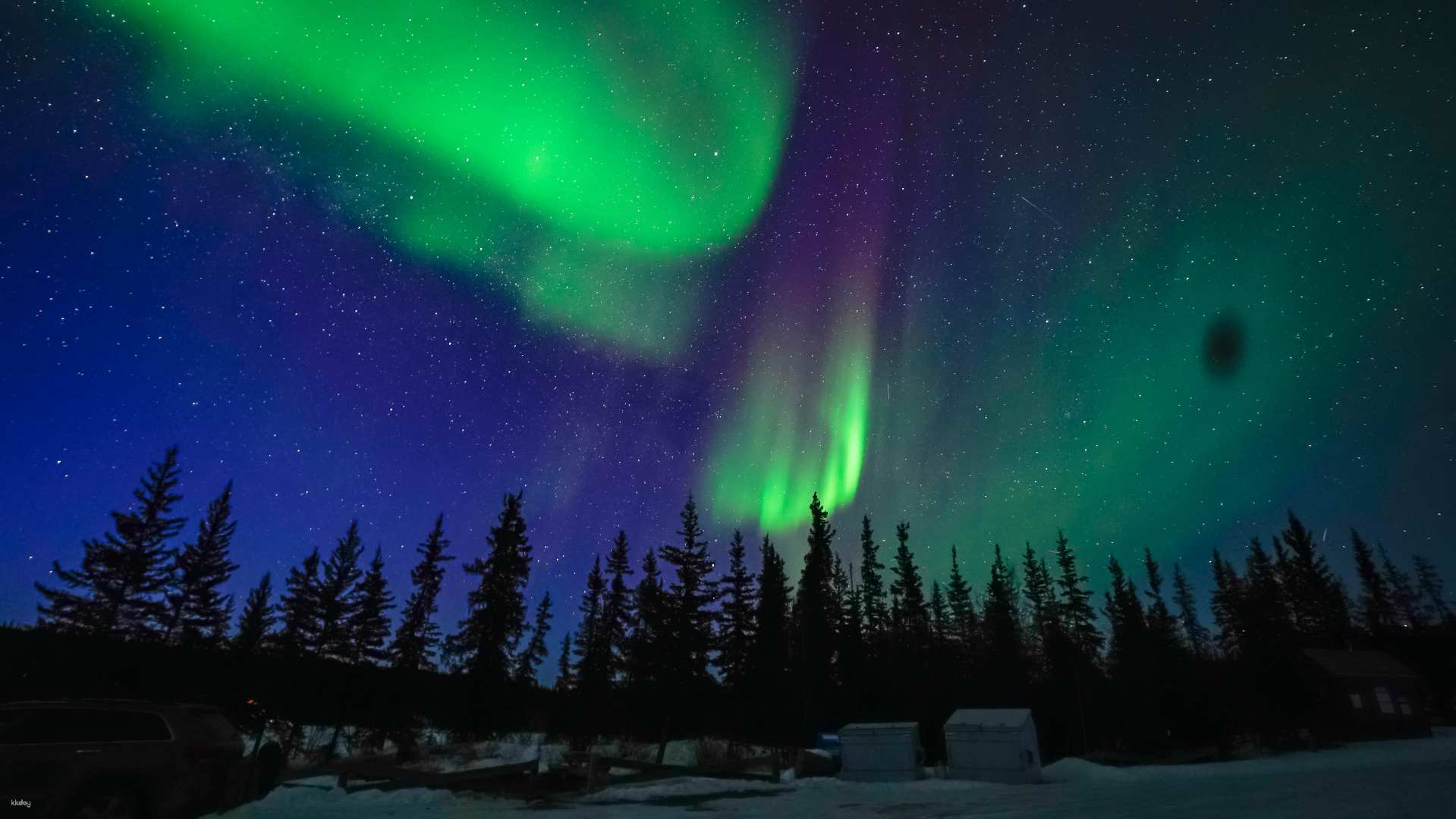 【Early Bird SALE】Yellowknife 4-Day Aurora Tour | Dog Sledding & Waterfall Hikes | with Airport Transfer