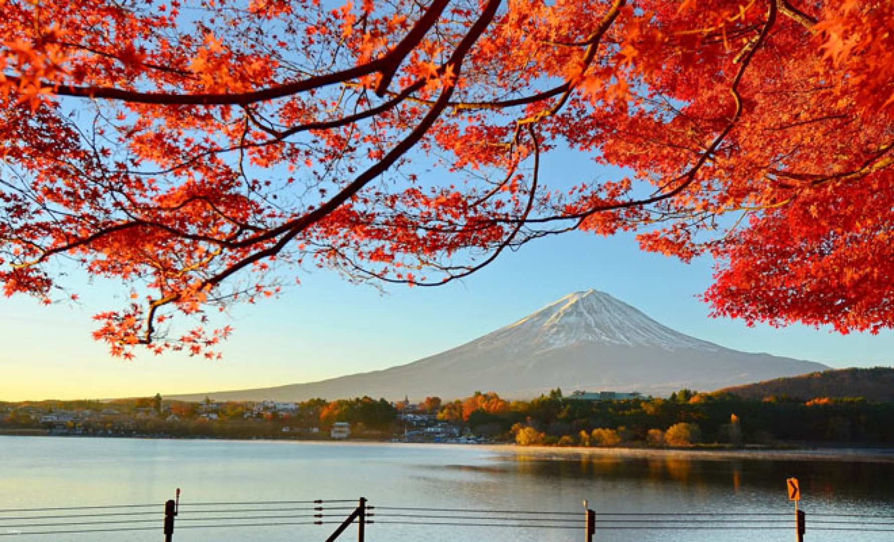 [Held at a minimum of 2 people] Seasonal Limited Mt. Fuji One-Day Tour Lake Yamanakako / Lake Kawaguchiko Oishi Park & Mt. Fuji Panoramic Ropeway / Arakurayama Sengen Park & Mt. Fuji 5th Station | Depart from Tokyo