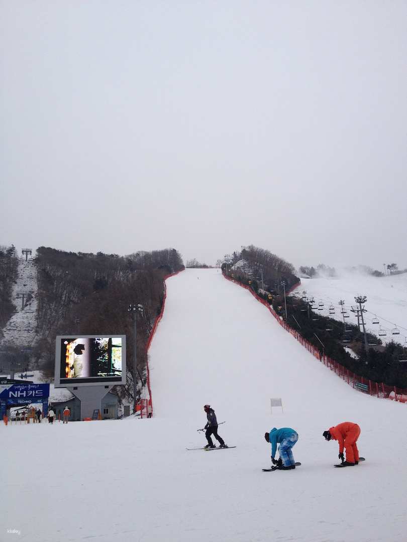 Seoul Vivaldi Park Ski World Day Tour | Miki Travel Asia