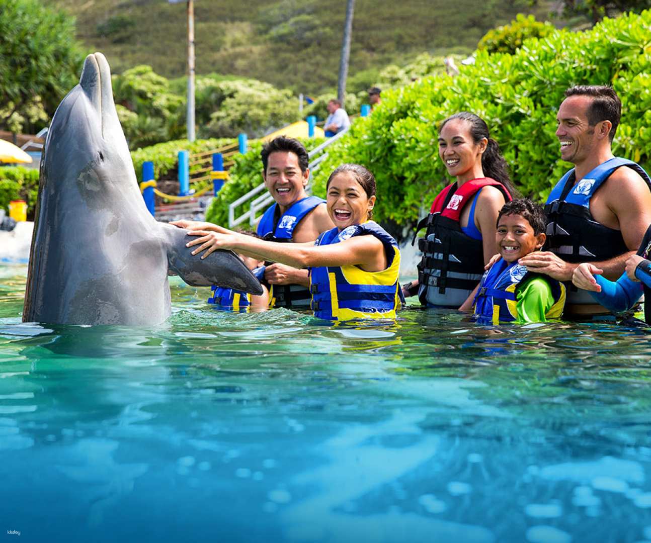Sea Life Park Ticket with Dolphin Encounter | Hawaii
