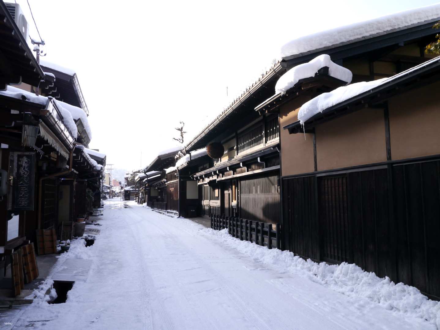 All-Snow-Covered World of Shirakawago and Takayama Bus Tour