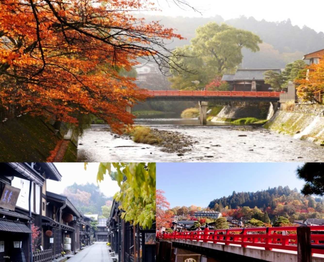 Autumn World Heritage Site Shirakawago 1 Day Bus Tour from Nagoya