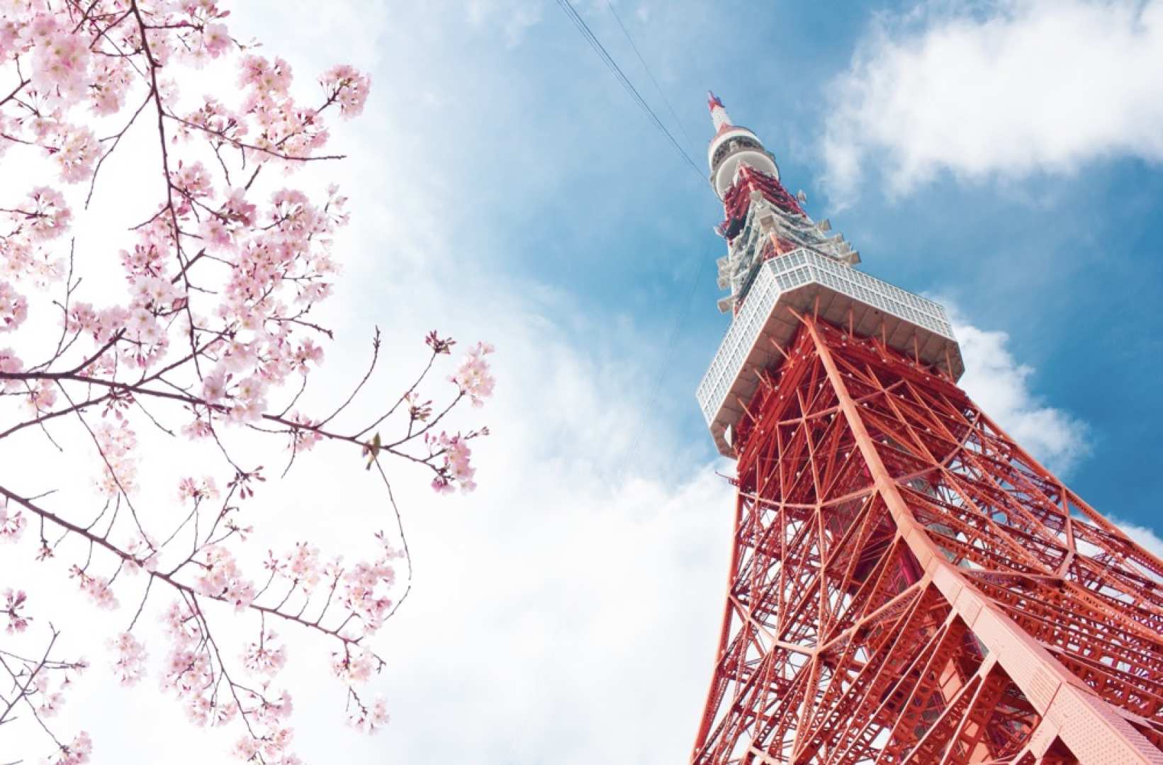 Transfers from Japan’s Narita Airport (NRT) and Haneda Airport (HND) to downtown Tokyo, Disney, Mount Fuji, Hakone and other areas | Airport transfers