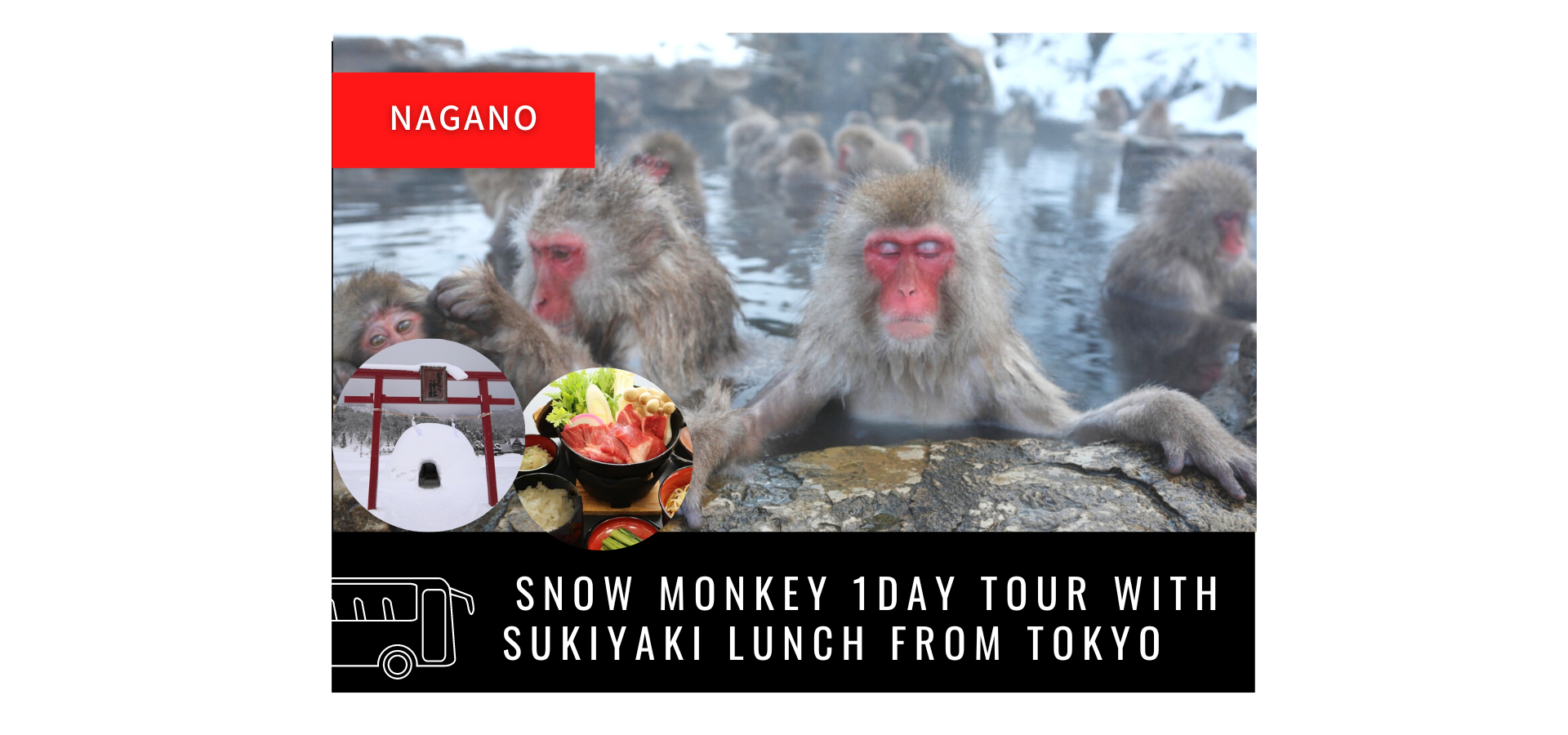 Snow Monkey 1 Day Tour with Beef Sukiyaki Lunch from Tokyo