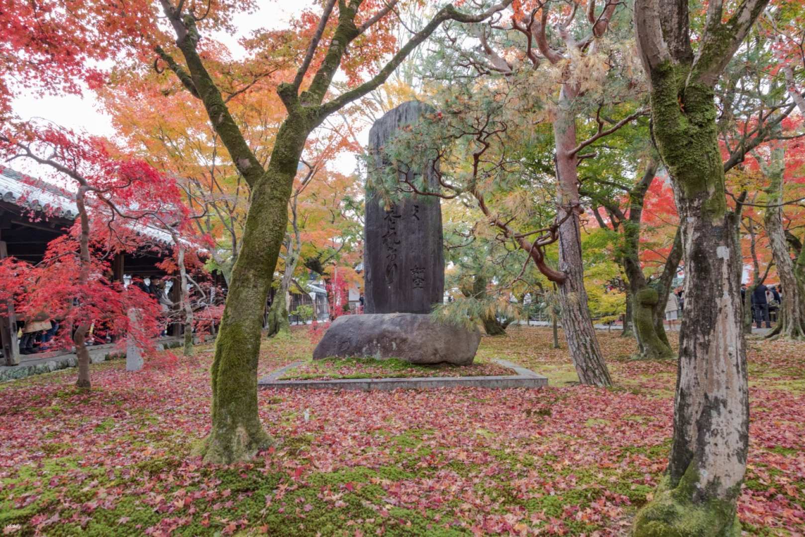 [Group of 4 people] Kyoto Autumn Maple Viewing One-day Tour Tofukuji Temple + Niji and Sannzaka + Kifune Shrine (departing from Osaka and Kyoto)