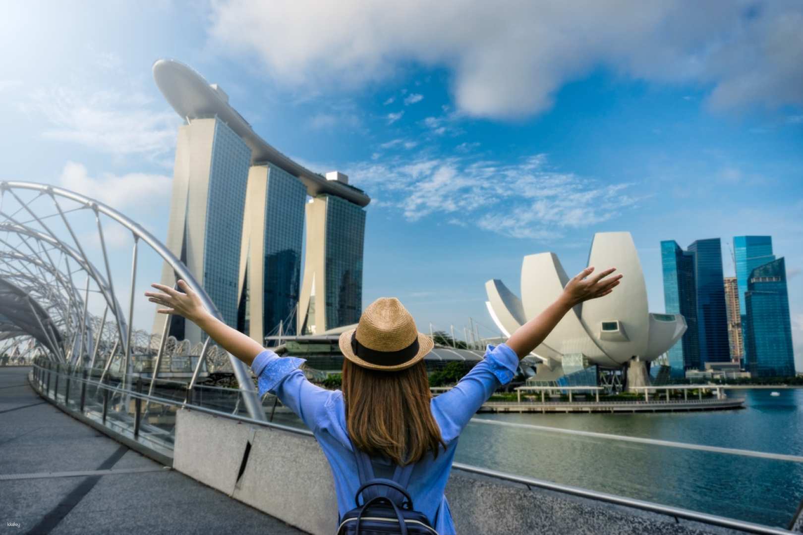 Singapore Tourist Pass PLUS
