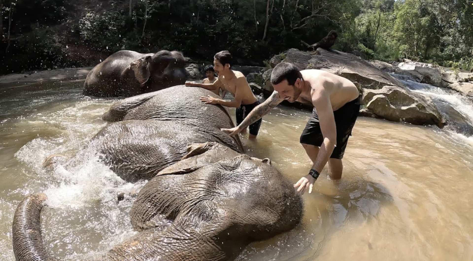 Chiang Mai One Day Trip : Ethical Elephant Sanctuary and ATV Adventure | Thailand