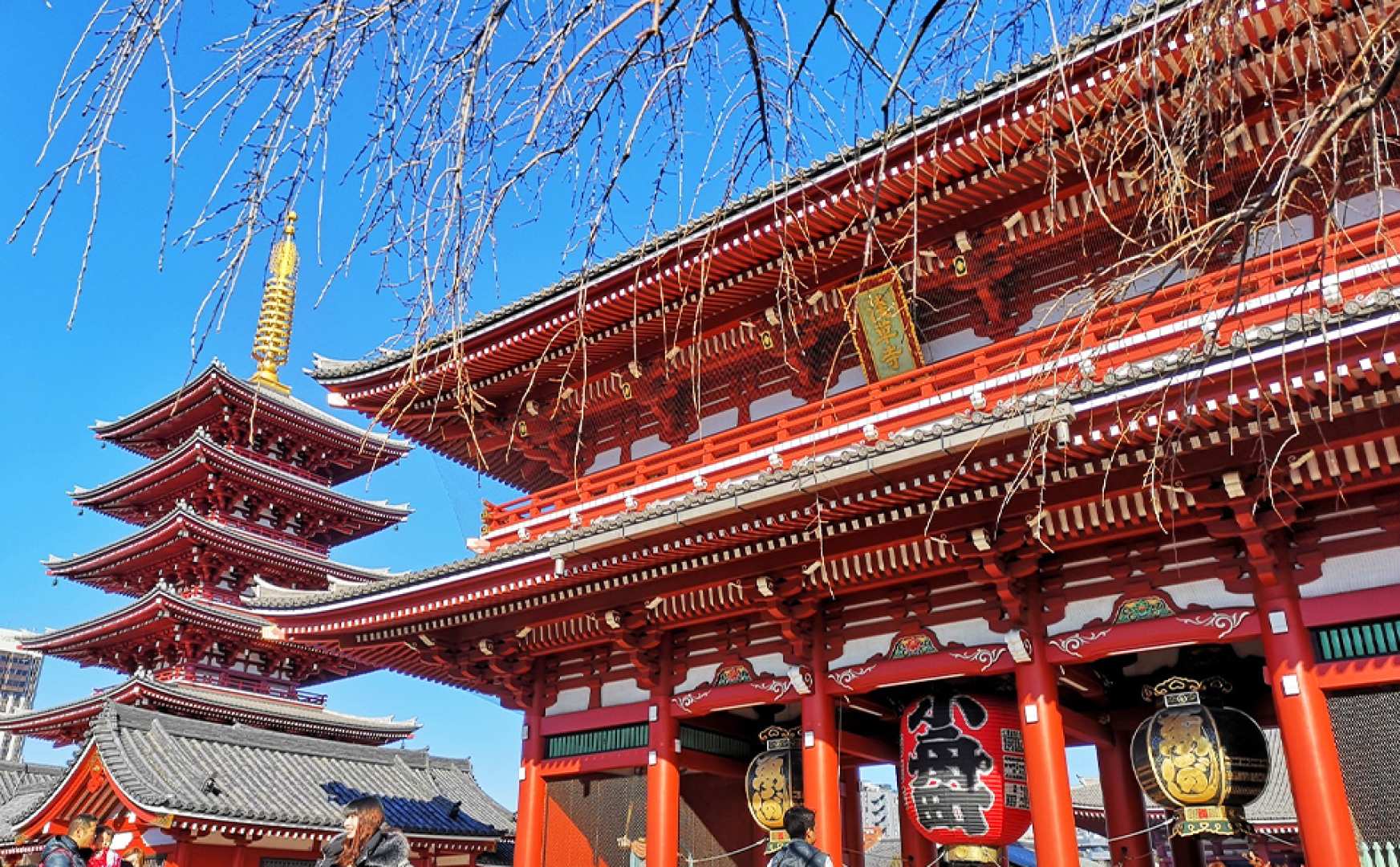 [Tour conducted with a minimum of 4] Tokyo city walk- strolling hot spring one-day tour｜Sensoji Temple + Imperial Palace + Odaiba Diver City Tokyo Plaza + hot spring experience