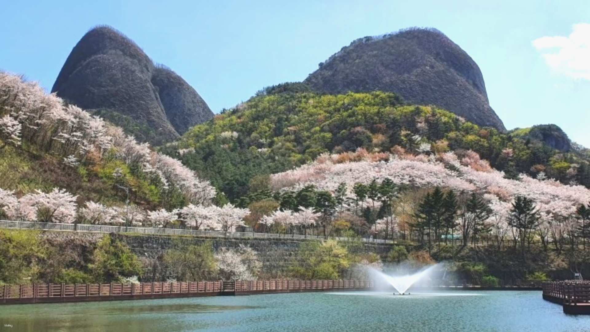 [2020 Cherry Blossom Season] Depart from Seoul｜Mt. Jeonju and Wansan Park Yae Cherry Blossom One-day Tour