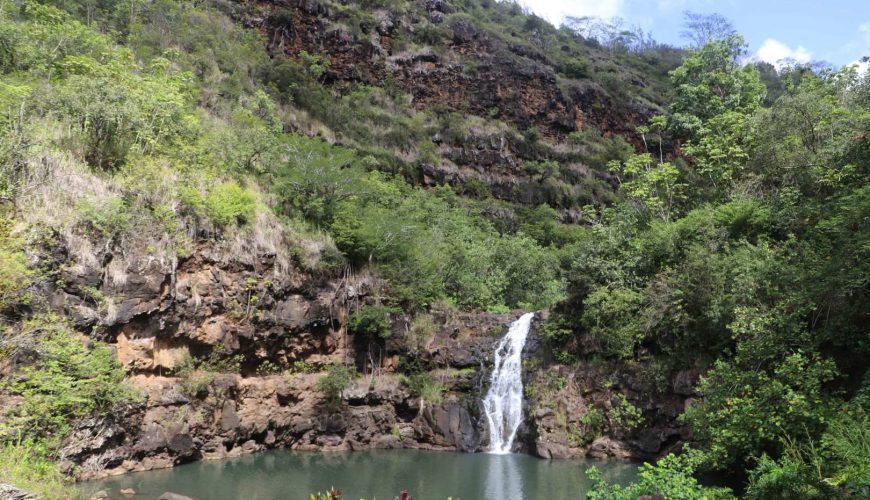 Hawaii Oahu | Waimea Waterfall Hiking & Swimming Tour with Breakfast & Lunch