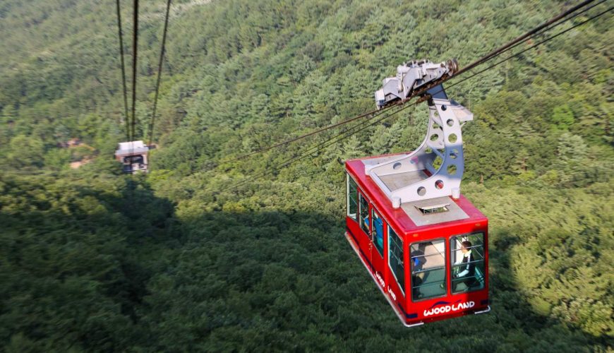 [ Daegu Airport TAE Morning Departure ] Daegu City Half-Day Tour | Small-Scale Private Tour