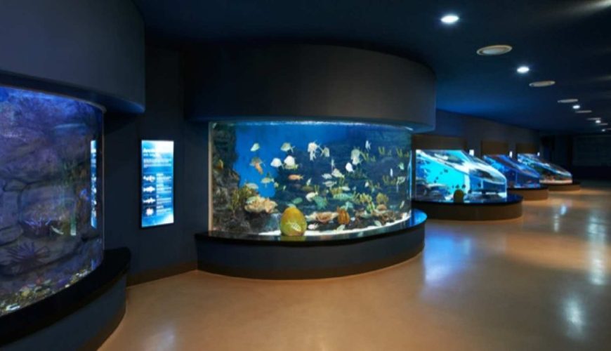 [Non-Korean ONLY] Aquarium Admission ticket in Aqua Planet Jeju