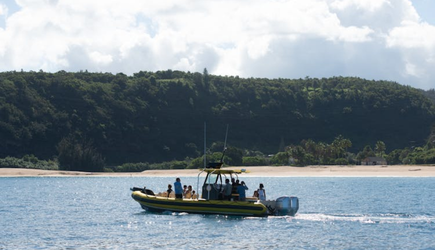 1.5-hour guided marine life boat tour in Oahu