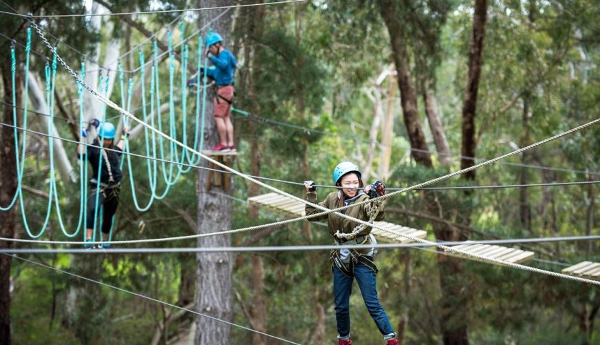 Rock Climb and Ropes Course Experience at the Southern Adventure Hub | South Australia