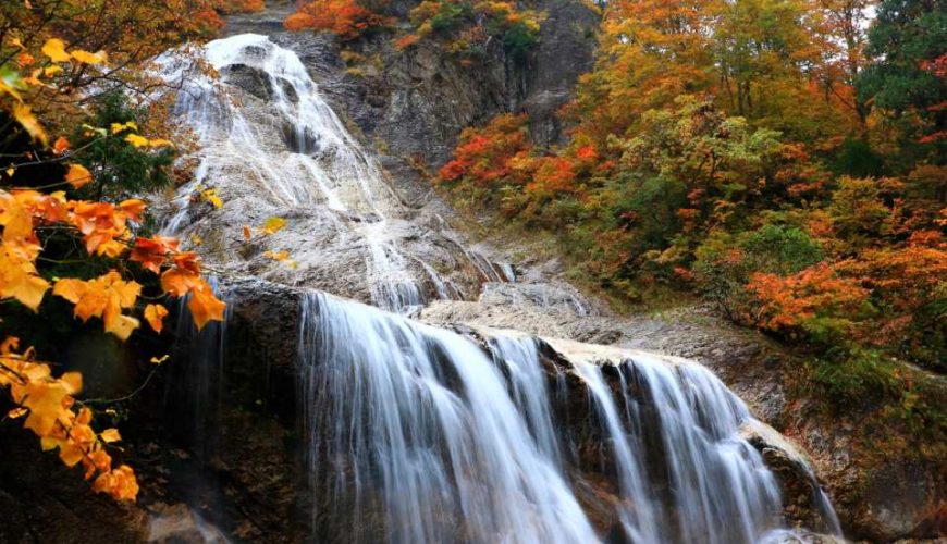 ［From Kanazawa］Shirakawa-go and Autumn Foliage White Road Drive 1 Day Tour