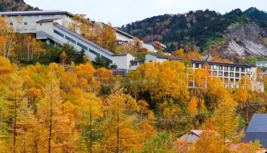 2-Day Japan Fall Foliage Tour | Karuizawa Manza Fukiwara Falls, Kusatsu Onsen, and Monkey Hot Springs (Depart from Shinjuku)