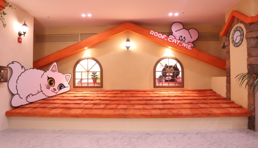 [Hongdae] ROOF_CAT_ME Cat Cafe Weekday Discount Admission Ticket