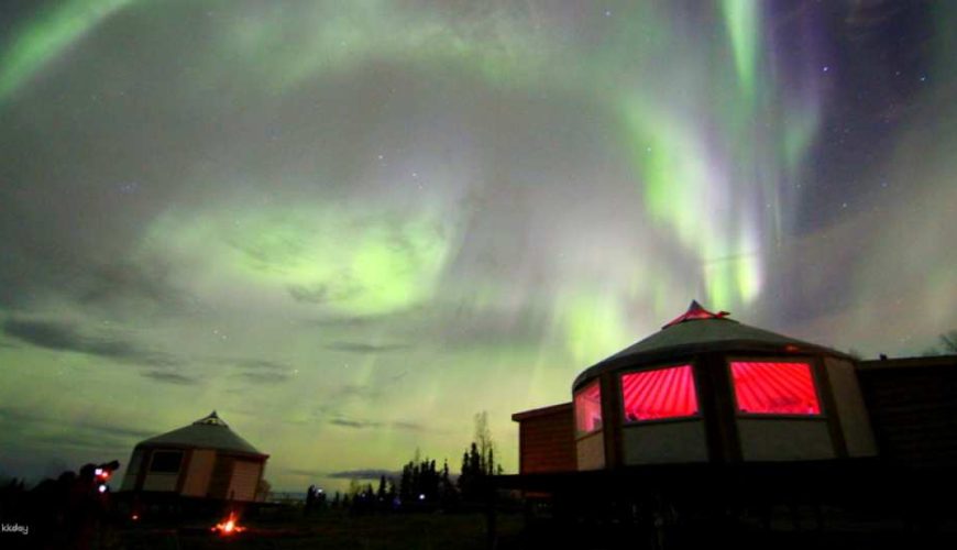 Aurora Borealis Dinner Tour from Fairbanks | Alaska