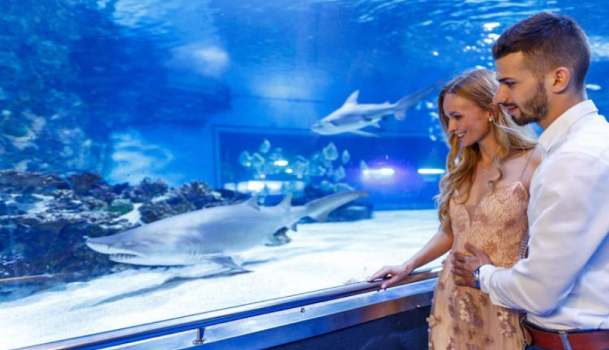 Budapest Tropicarium entrance ticket