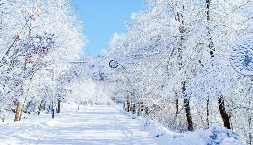 【中国】哈尔滨亚布力滑雪&雪乡童话二日游 （含雪乡住宿  雪地摩托+马拉爬犁+亚布力滑雪）