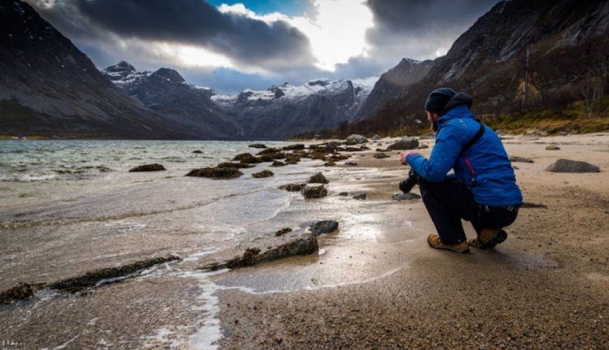 Arctic nature tour