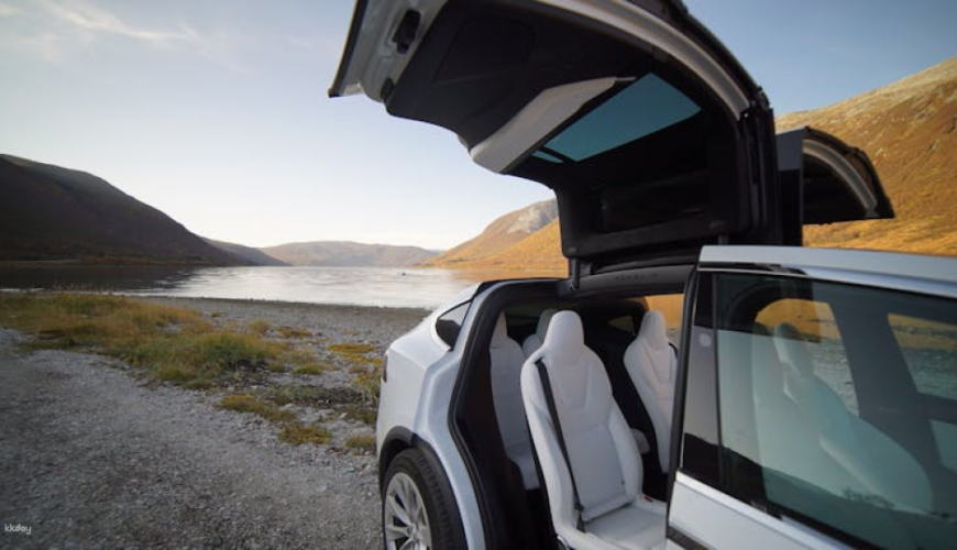 Private fjord tour from Tromsø in a TeslaX car
