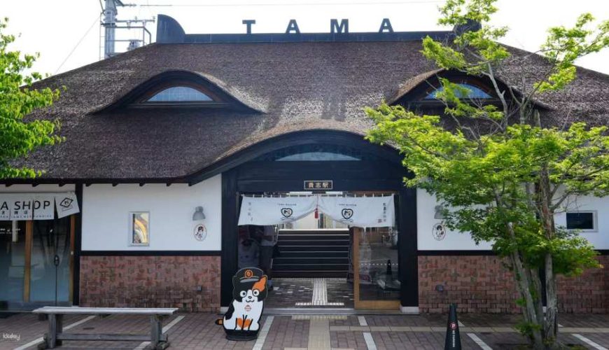 A Day Trip to Kōyasan, a World Heritage Site, from Osaka