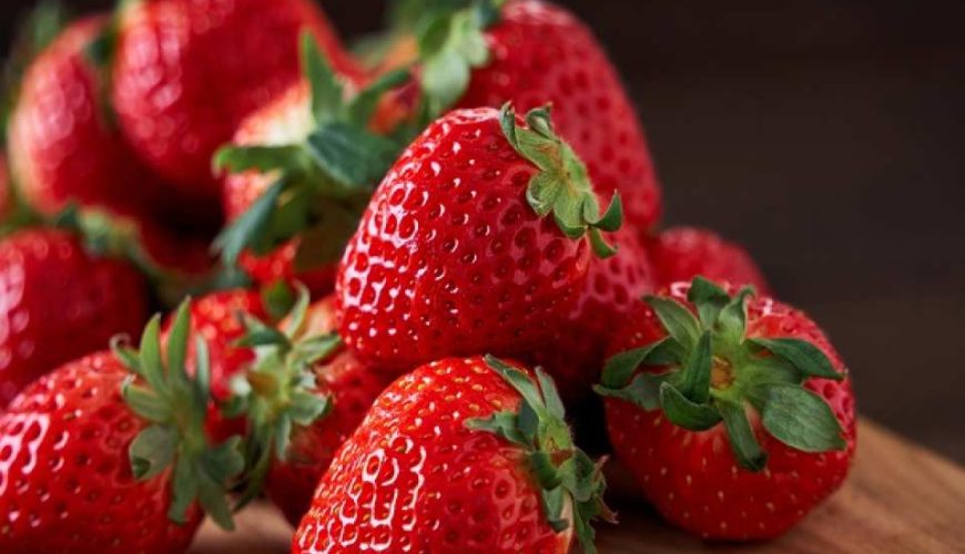 【Yunishigawa Snow House Festival】Tochigi, Japan | A Dreamy World of Snow and Candlelight & Preserved Tradition at "Heike no Sato" | All-You-Can-Eat Premium Strawberry Picking | Departing from Tokyo