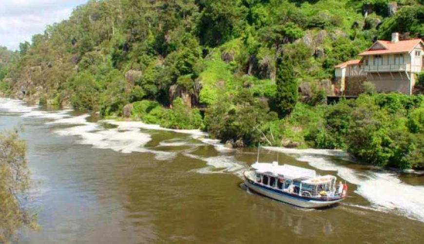 Discovery Cruise on Tamar River from Launceston | Tasmania