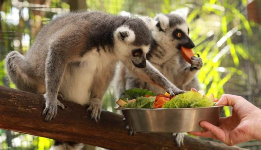 Gorge Wildlife Park General Admission Tickets | Adelaide