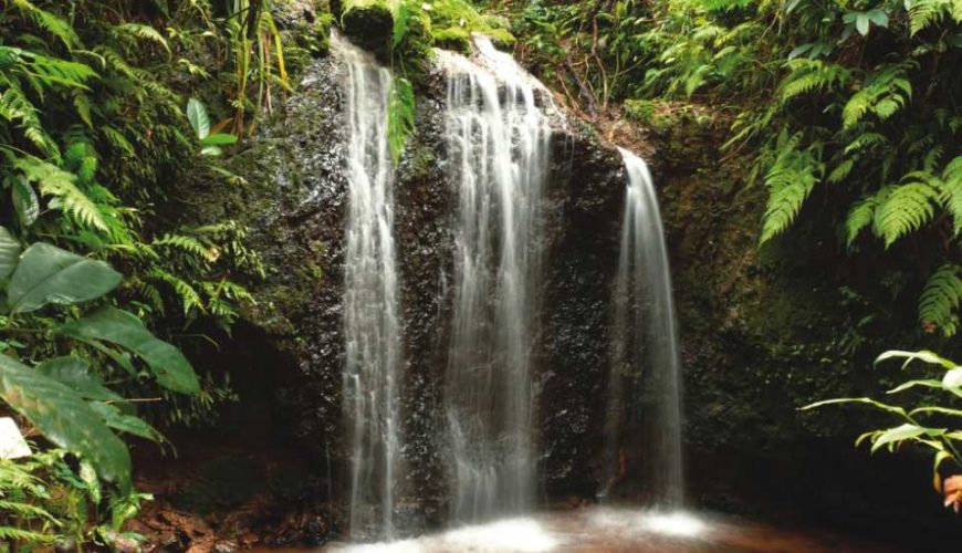 Paronella Park Entry Ticket | Queensland