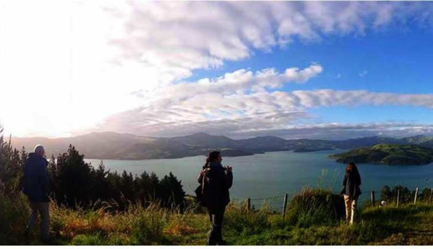 Pohatu Sea Kayaking & Scenic 4WD Safari from Akaroa | New Zealand