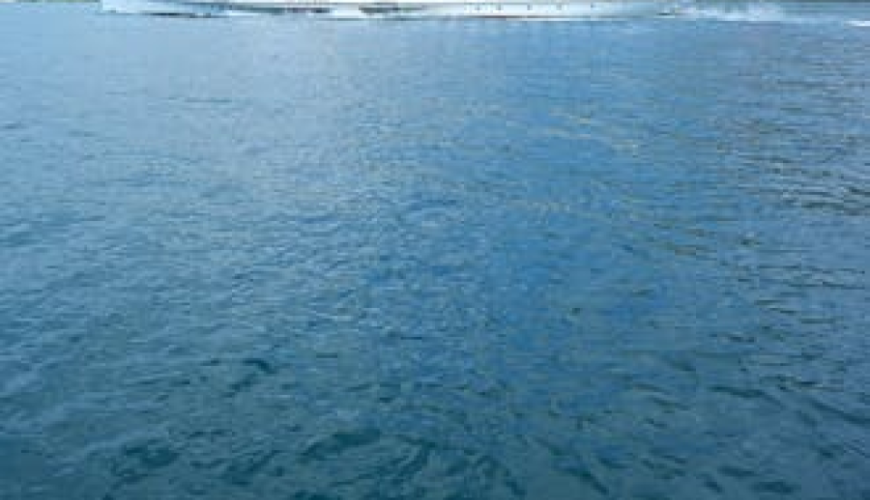 Cruise to discover the Lavaux vineyards and the Montreux-Vevey Region from Lausanne