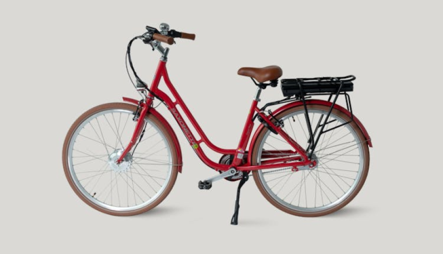 E-bike rental in Dresden