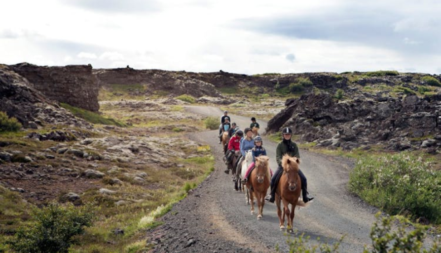 TUI Icelandic Horse Tour