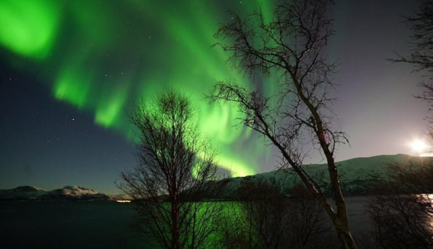 Private Tromsø Northern Lights tour in a TeslaX car