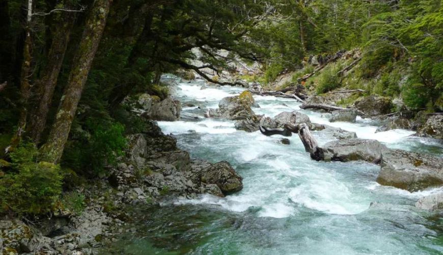 [World Top 10 Hikes Destination] Routeburn Guided Walk| Queenstown Departure, New Zealand