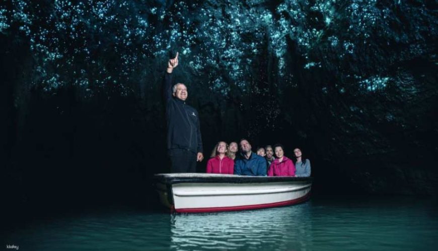 [Auckland Departure] Waitomo Glowworm Cave Day Tour | New Zealand