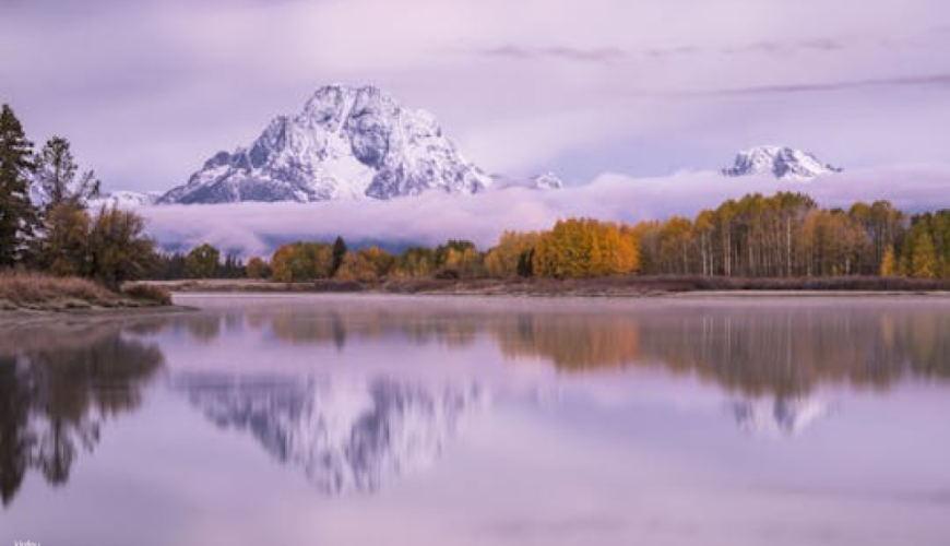Winter and spring wildlife sunrise safari from Jackson Hole