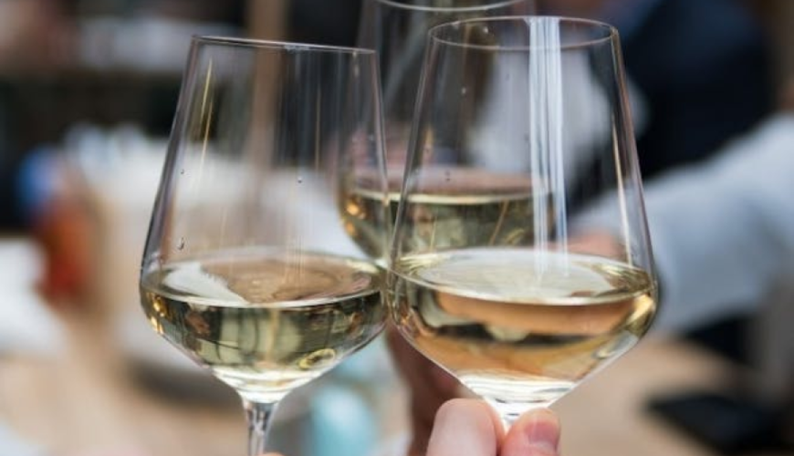 Vineyard tour in covered wagon with wine tasting near Stuttgart