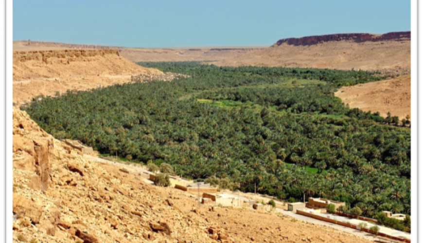 CASABLANCA TO MARRAKECH IN 10 DAYS : IMPERIAL CITIES AND CAMELRIDE IN SAHARA DESERT